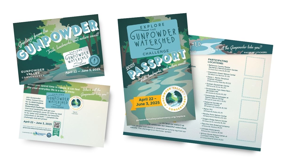 A set of promotional materials for the 